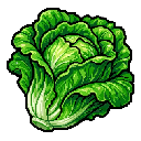 Lettuce